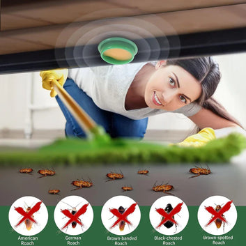 Cockroach Killer Gel Pack of 12 (Buy 1 Get 1 Free)