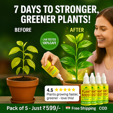 Plant Boost Liquid Biofertilizer for All Crops,Organic (Pack of 5)